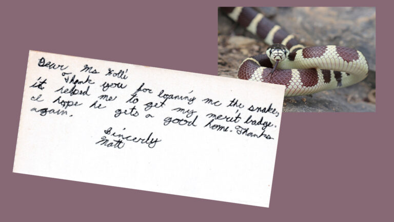 California kingsnake and note from a Boy Scout