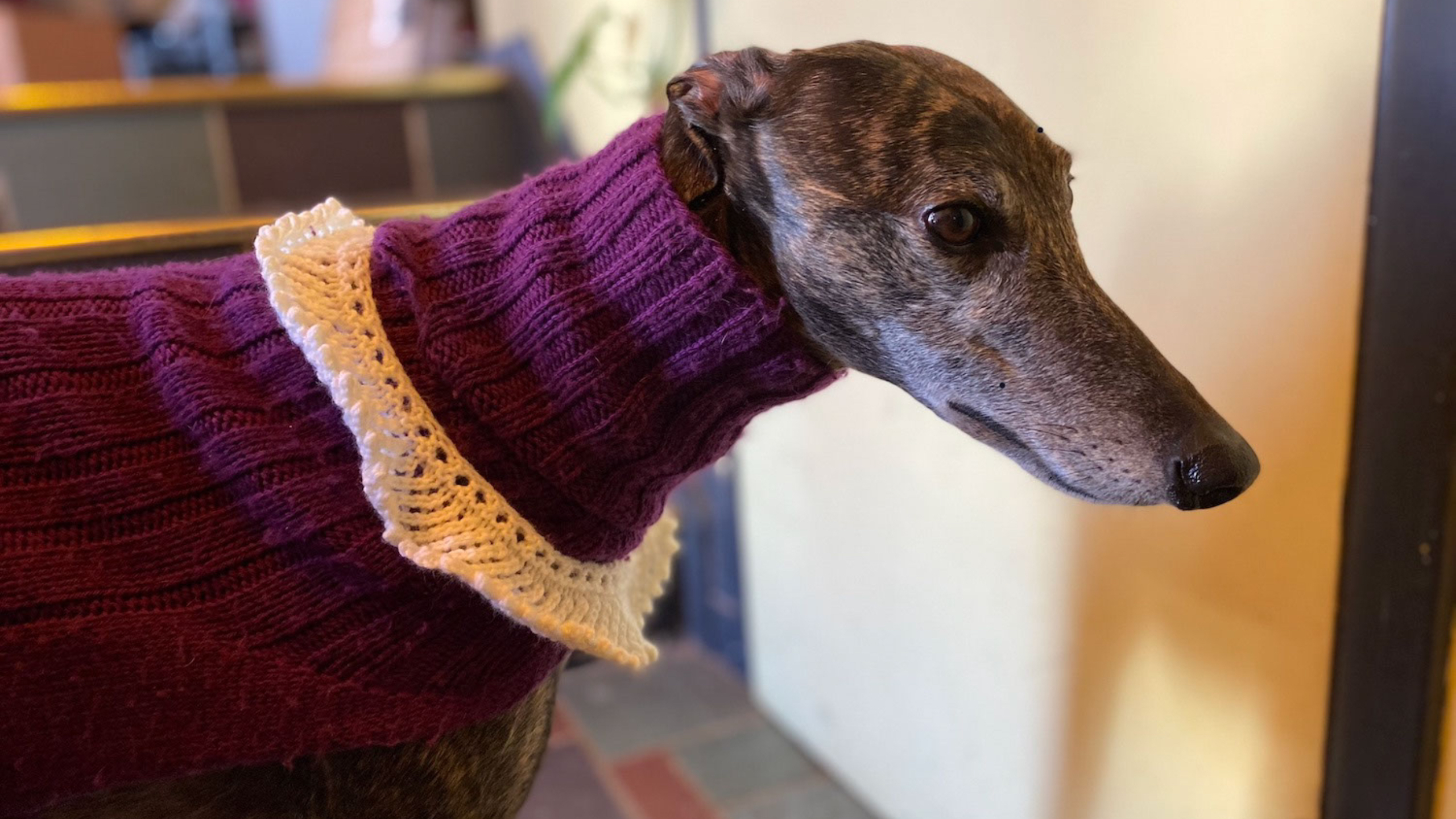 Ruthie Retired Racer wearing her RBG lace