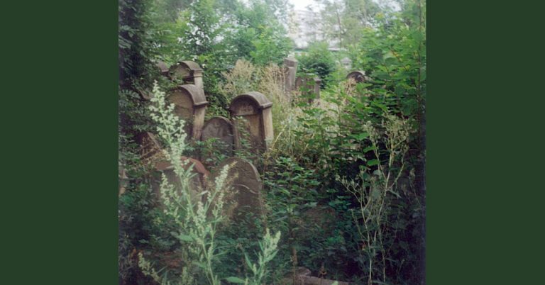 Cemetery with weeds