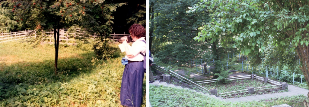 Zbillitovska Gora in 1994 on the left and 2005 on the right.