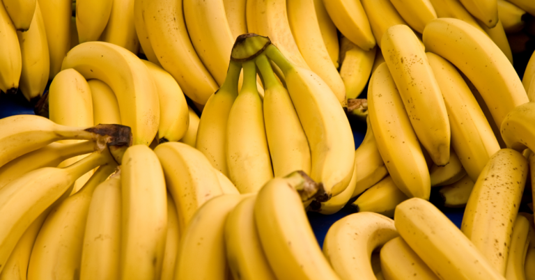 a lot of bananas