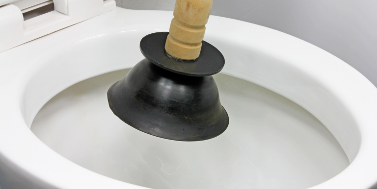 Plunger about to plunge a stopped up toilet.